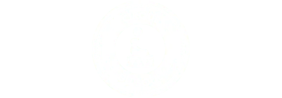 Cirque Du Soul