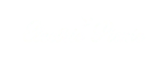 Electric Picnic