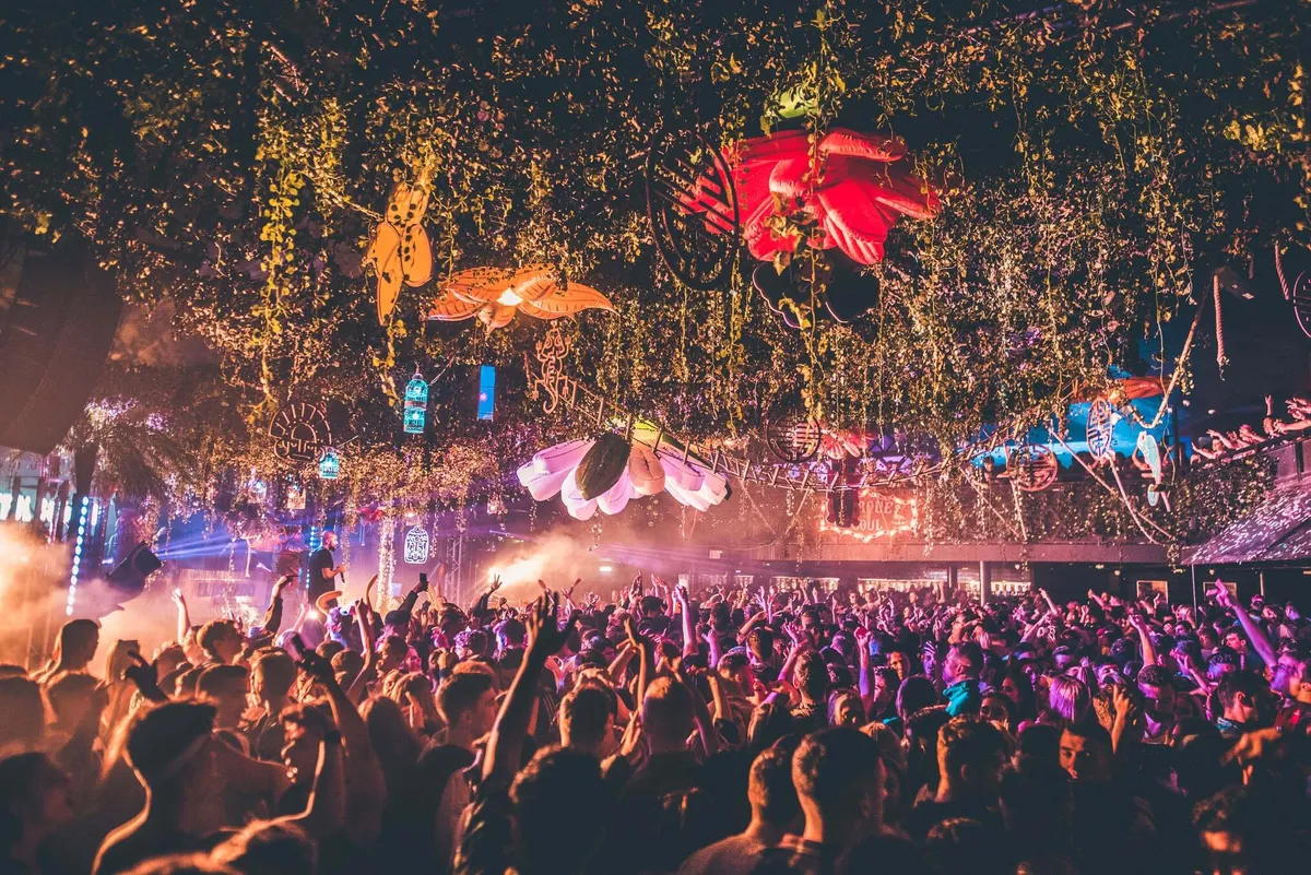 Welcome To The Jungle themed event concept with lush production performers