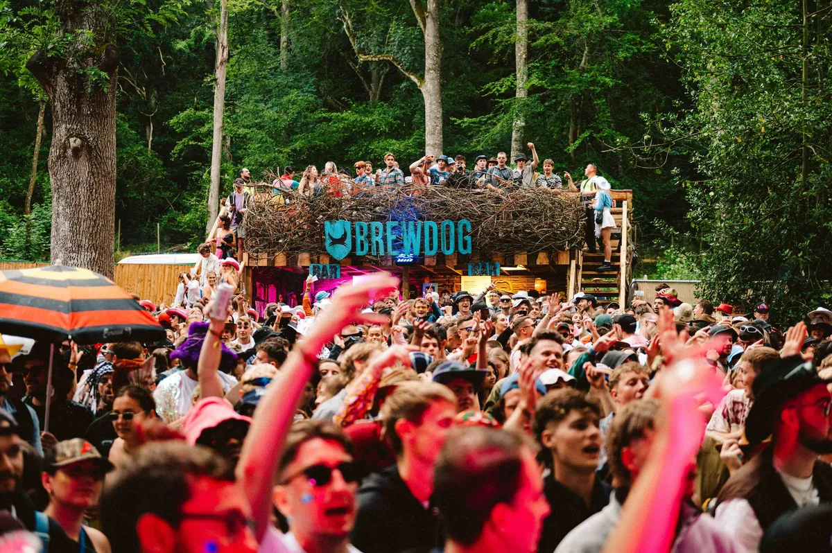 Bespoke BrewDog bar structure in woodland setting