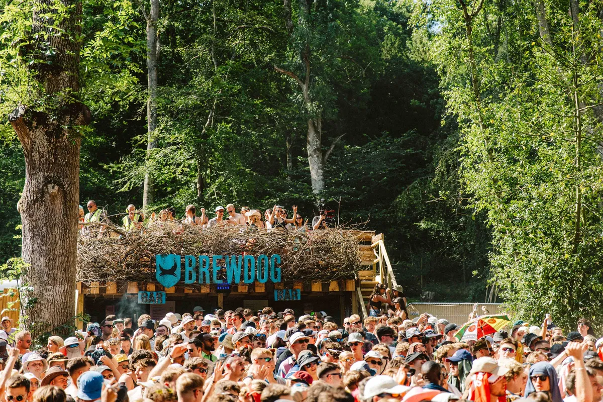 Festival-goers enjoying BrewDog bar experience