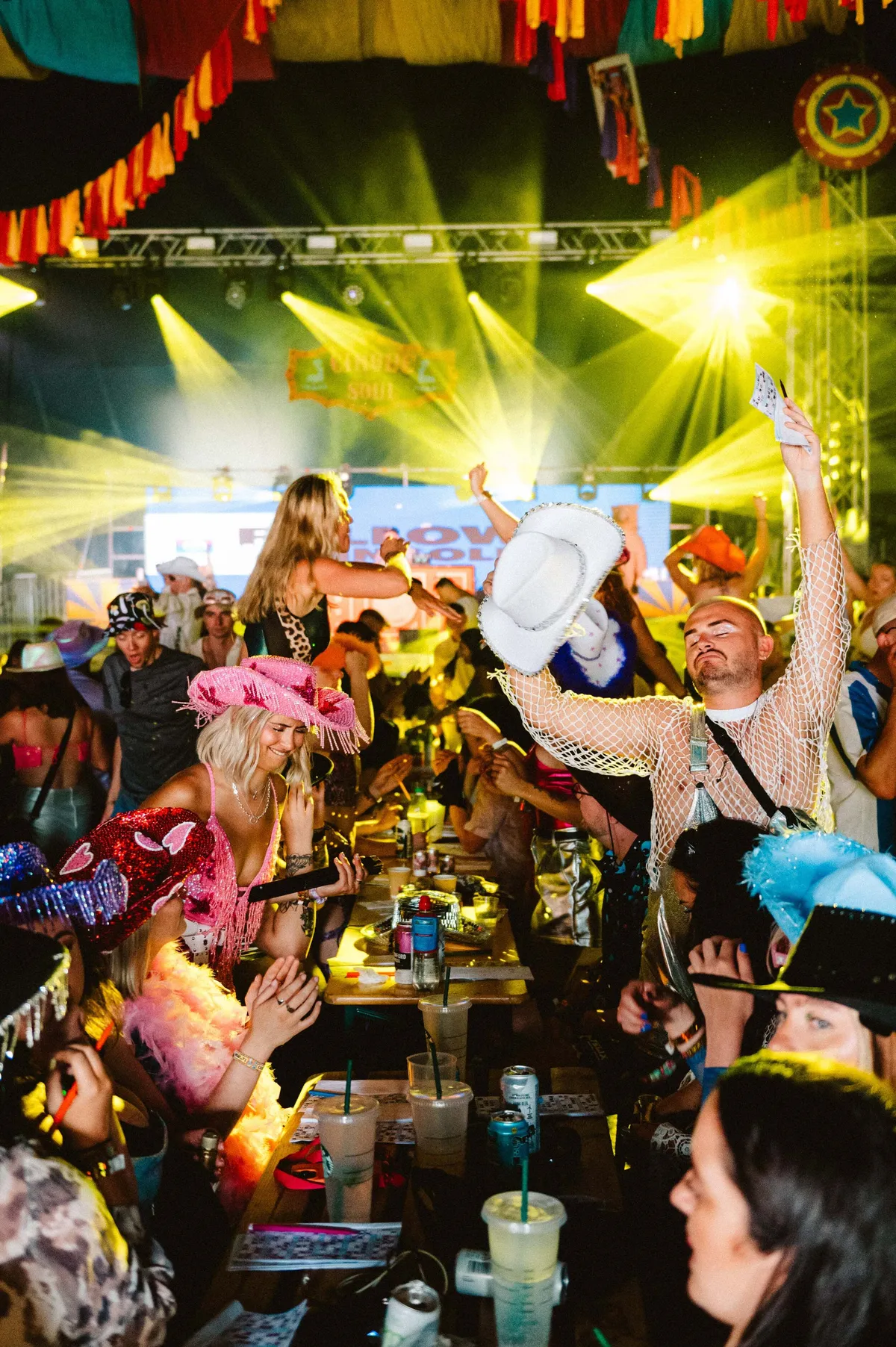 Festival crowd and party atmosphere